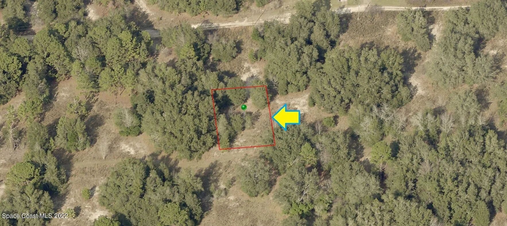 Vacant Land in Inverness - Inverness, Florida, 34453