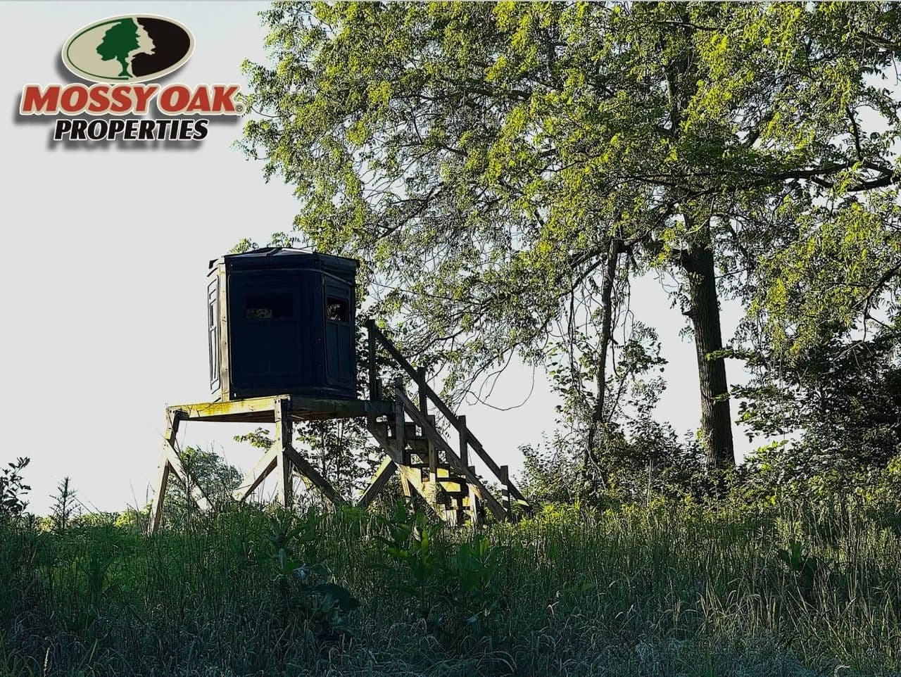 22.27 +/- acres La Fountaine, IN - Wabash County - Potiential build site - Lane for sale - La Fontaine, Indiana, 46940