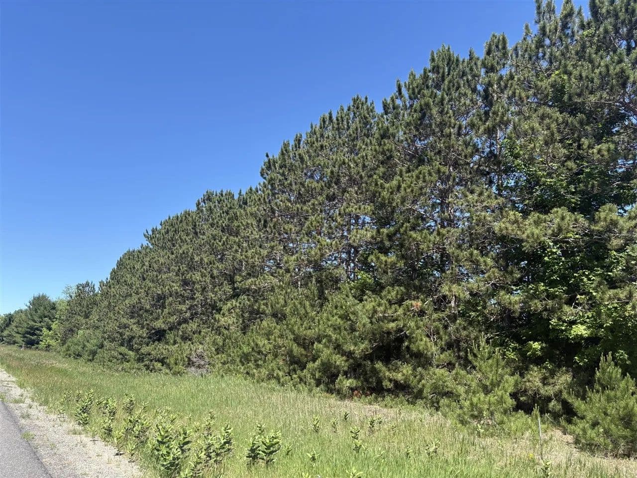 7.91 Acres of Land for Sale in Bear Lake, MI - Bear Lake, Michigan, 49614