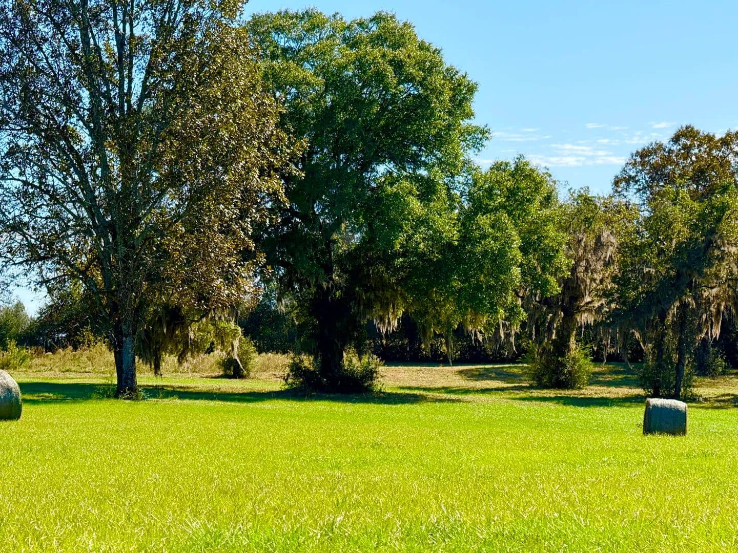 Vacant Land in Ponce De Leon - land for sale