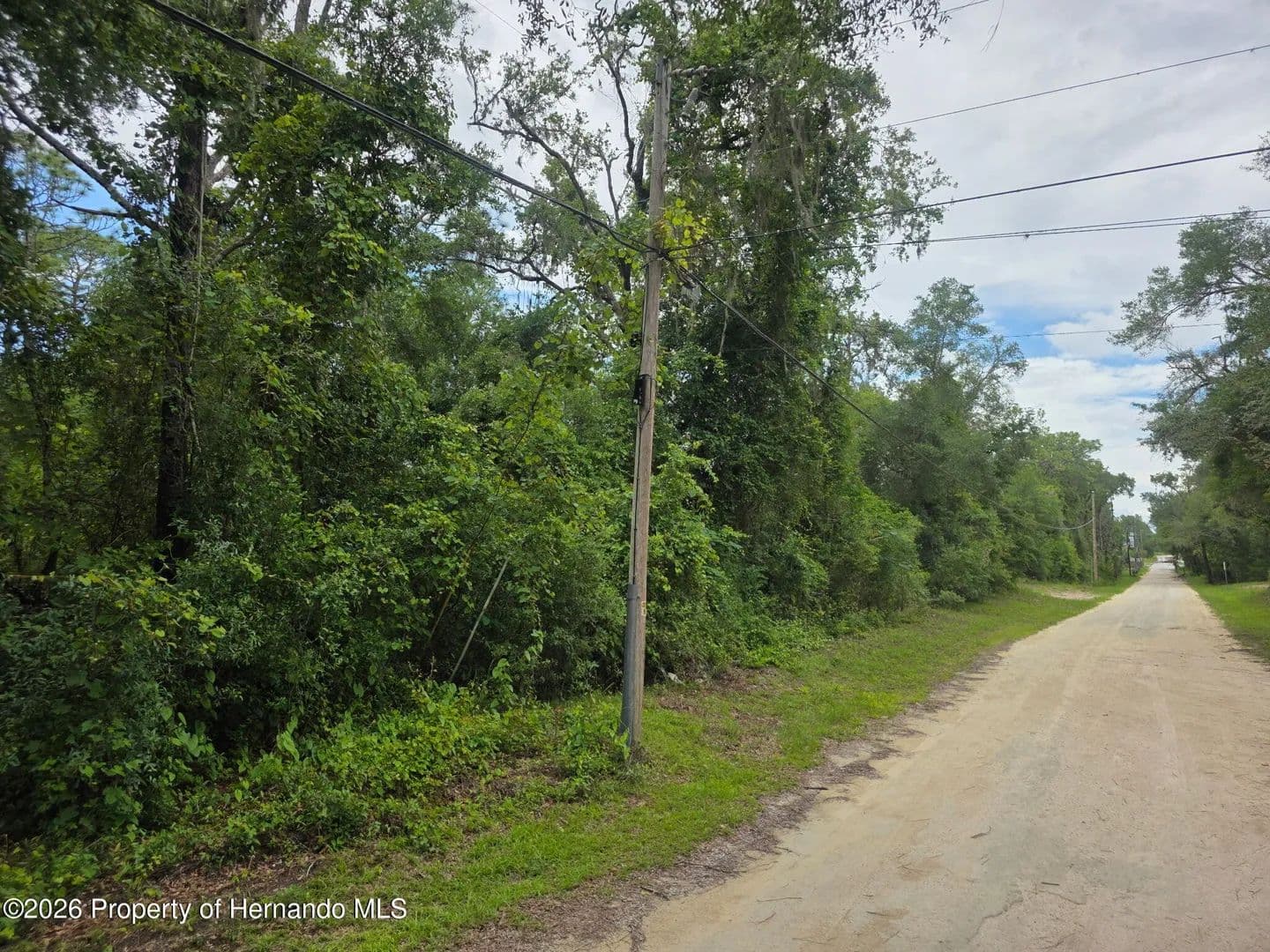 7.4 Acres of Land for Sale in Brooksville, Florida - Brooksville, Florida, 34601