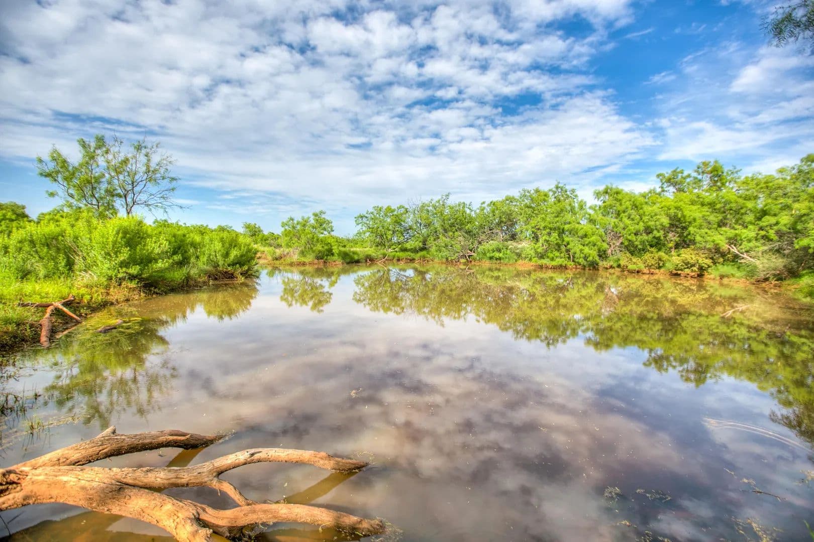 723 Acres of Land for Sale in Bronte, TX - Bronte, Texas, 76933