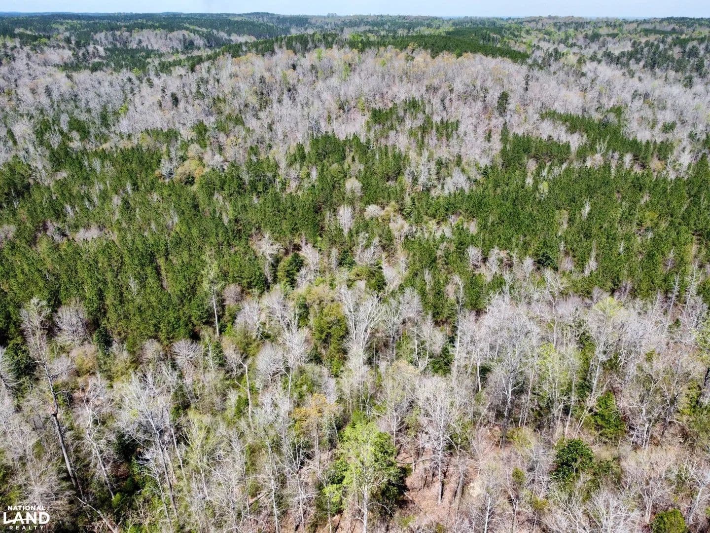 Chatman Ridge Timber & Hunting Investment - Ararat, Alabama, 36921