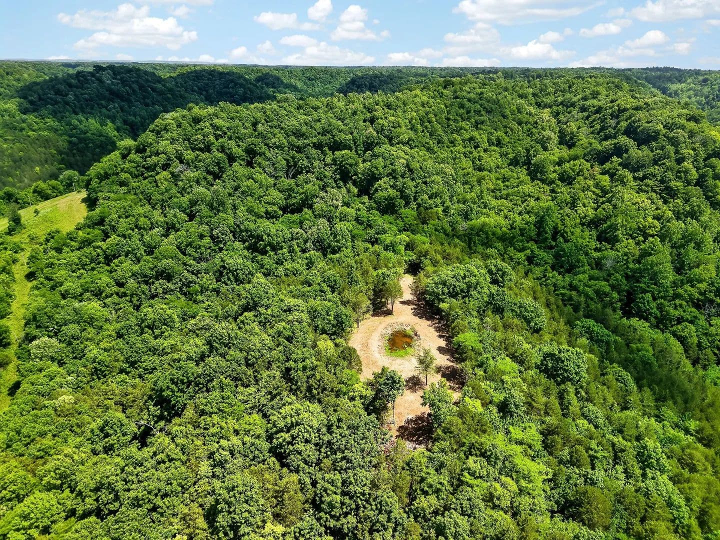 121 Acres of Farmland & Hunting in Baxter, TN for Sale - land for sale