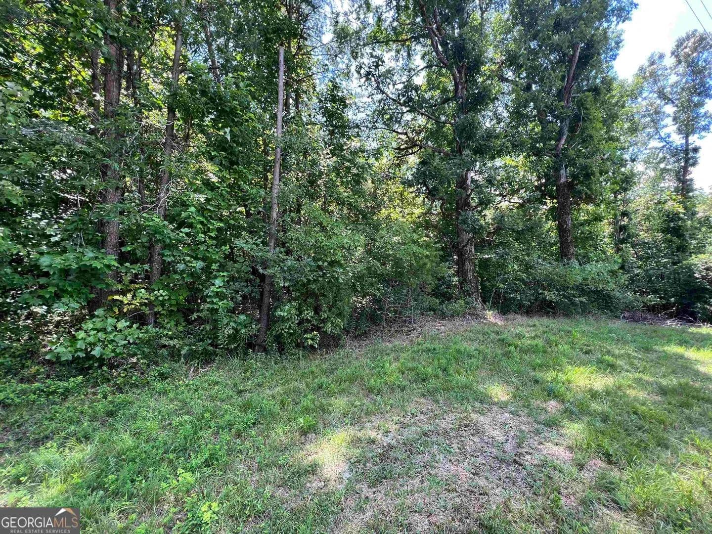 Property from 0 W Kytle Street - KW - Cleveland, Georgia, 30528