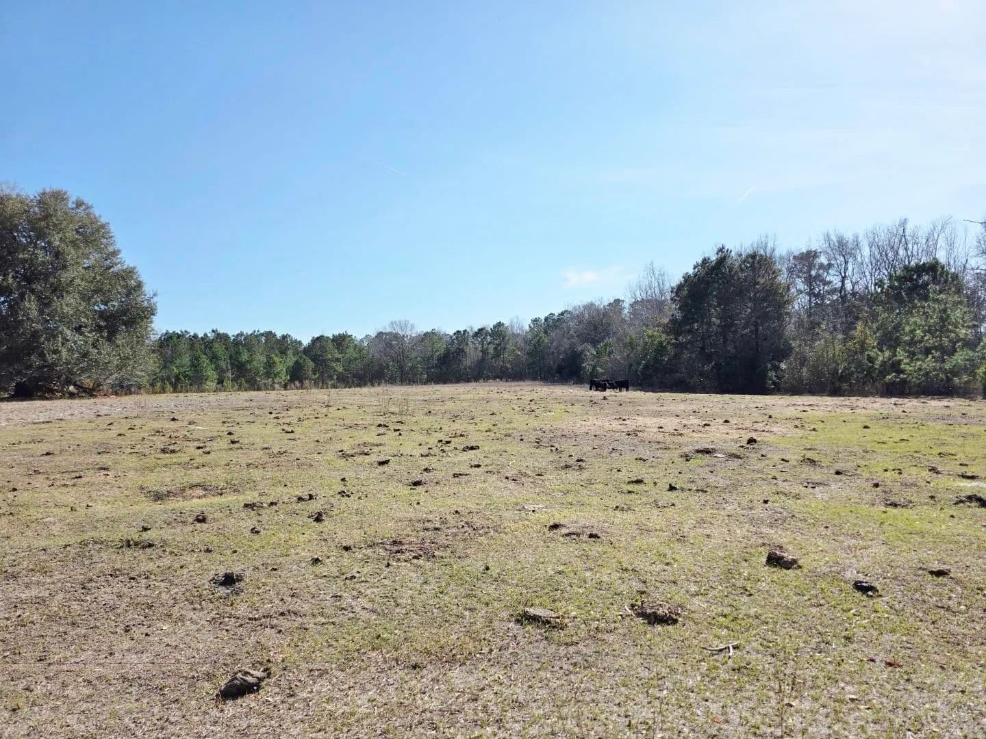 Vacant Land in Manning - Manning, South Carolina, 29102