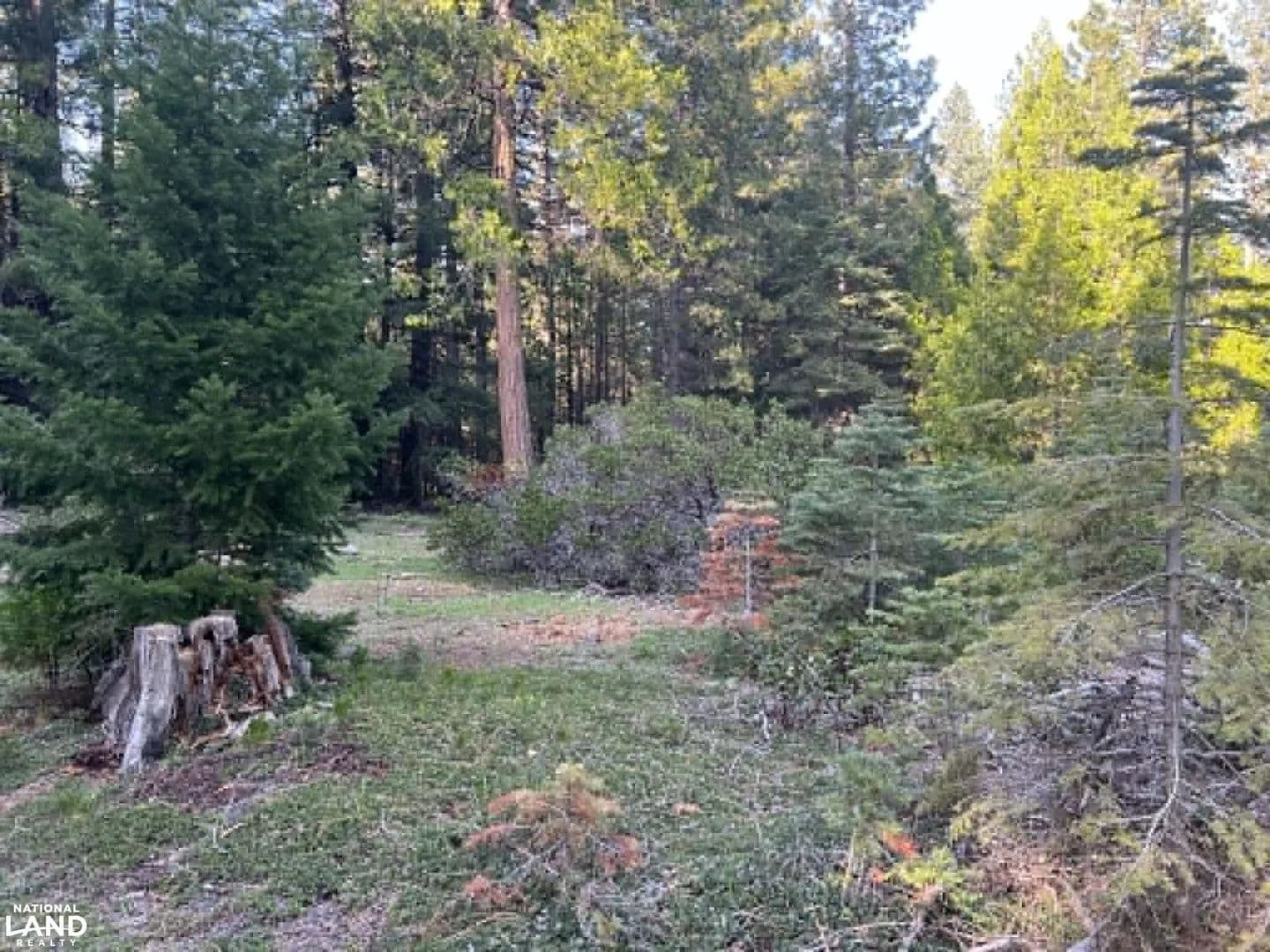 12.6 Acre Homesite in Shingletown, CA - Shingletown, California, 96088