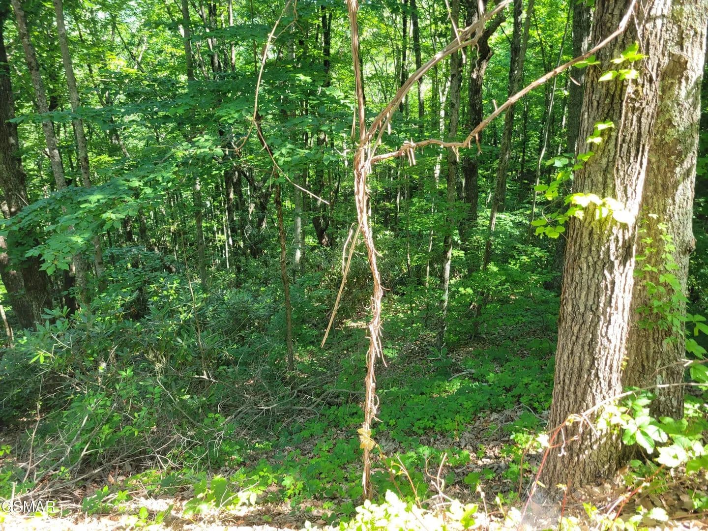 Property from Lot 20 Sunset Drive - KW - Sevierville, Tennessee, 37876