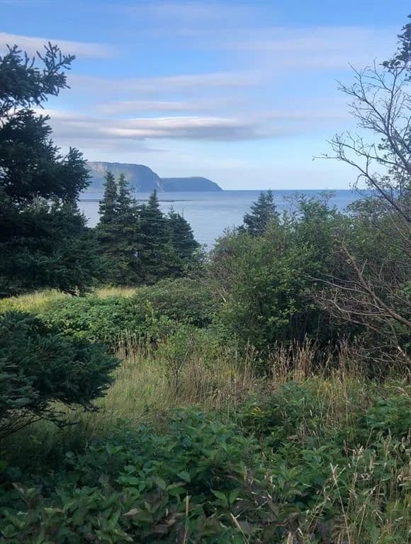 Land for Sale in Rocky Harbour, 158A Main Street N - land for sale