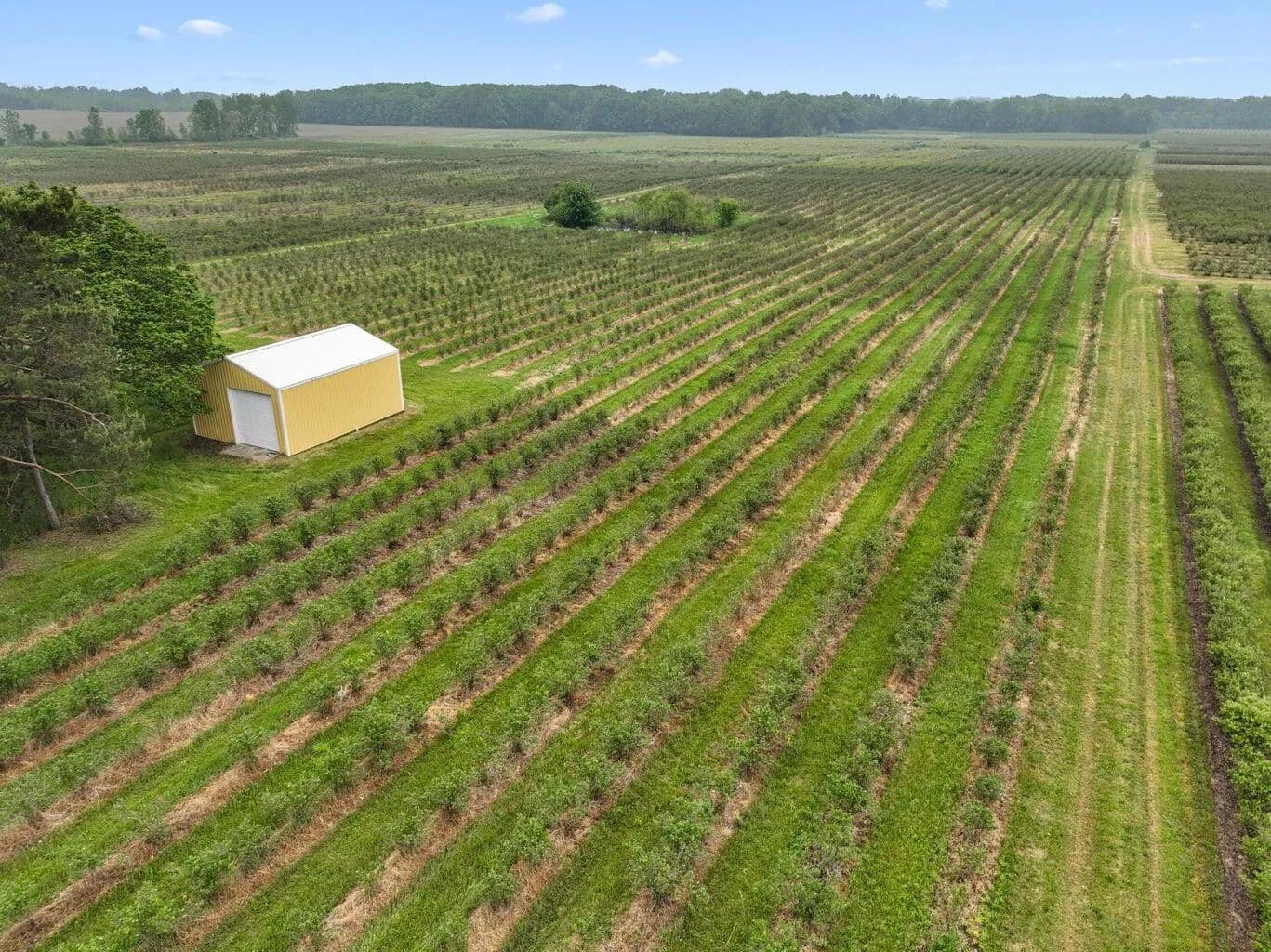Vacant Land in Benton Harbor - Benton Harbor, Michigan, 49022