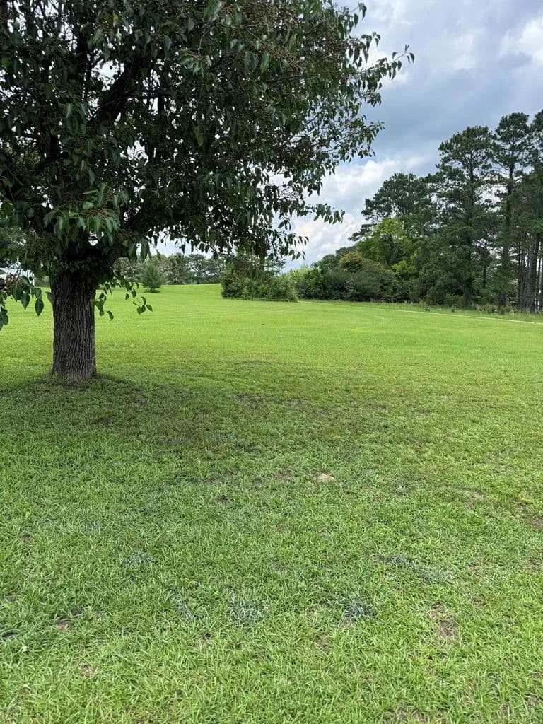 Property from Lot 114 Pebble Beach Drive - KW - Eufaula, Alabama, 36027