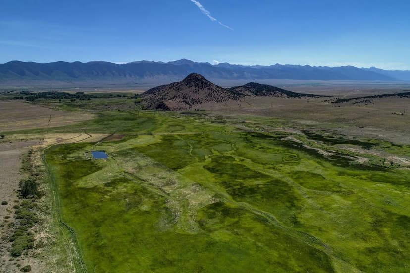 Colorado Mountain Ranch Borders BLM Land to National Forest