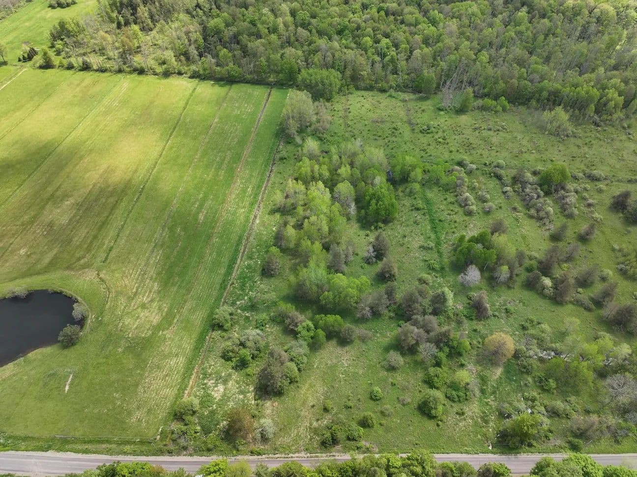7 acres Recreational Land and Hunting Land in South Dayton NY Dye Road - South Dayton, New York, 14138