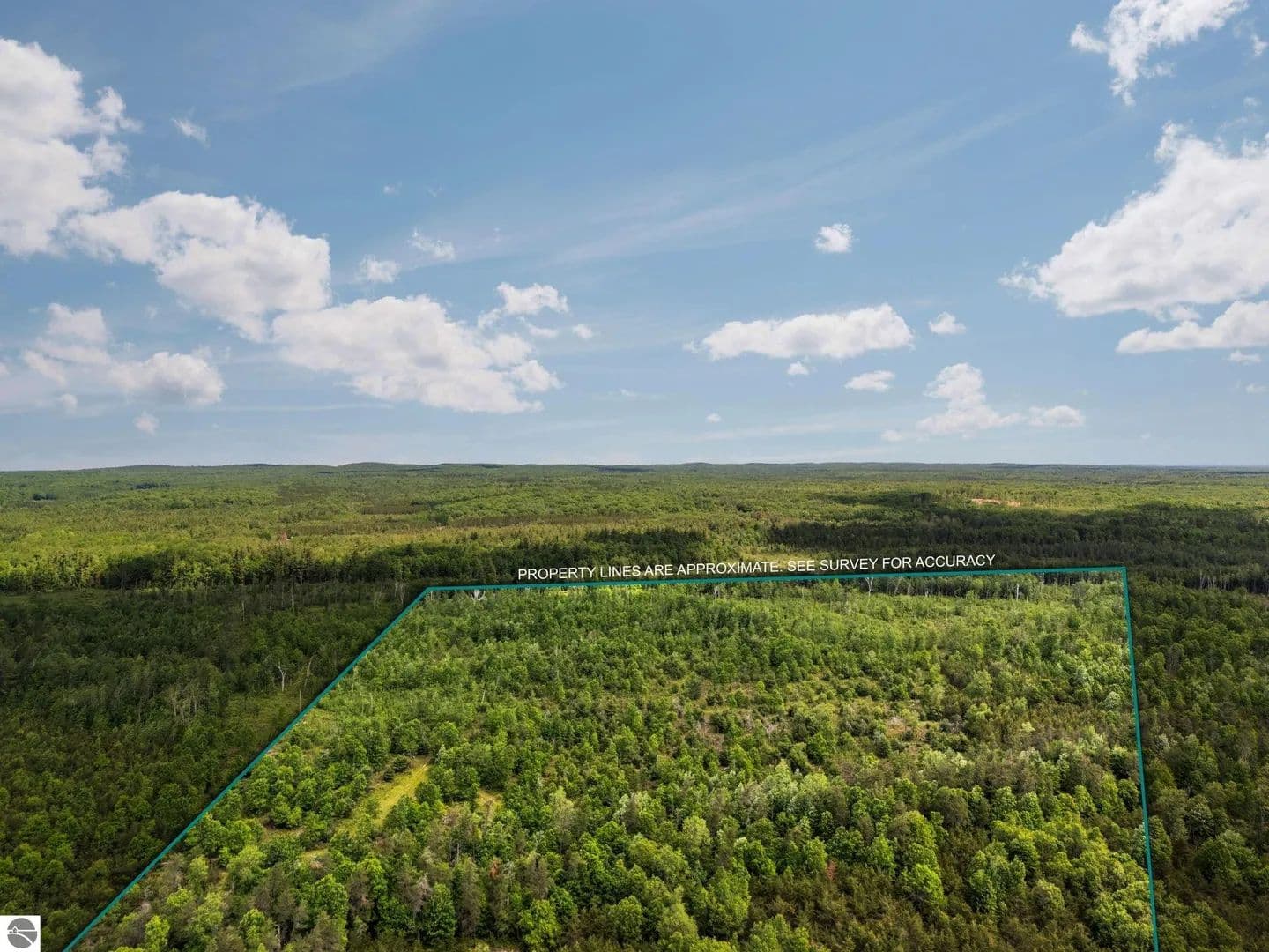 93.95 Acres of Land for Sale in Lake City, MI - Lake City, Michigan, 49651