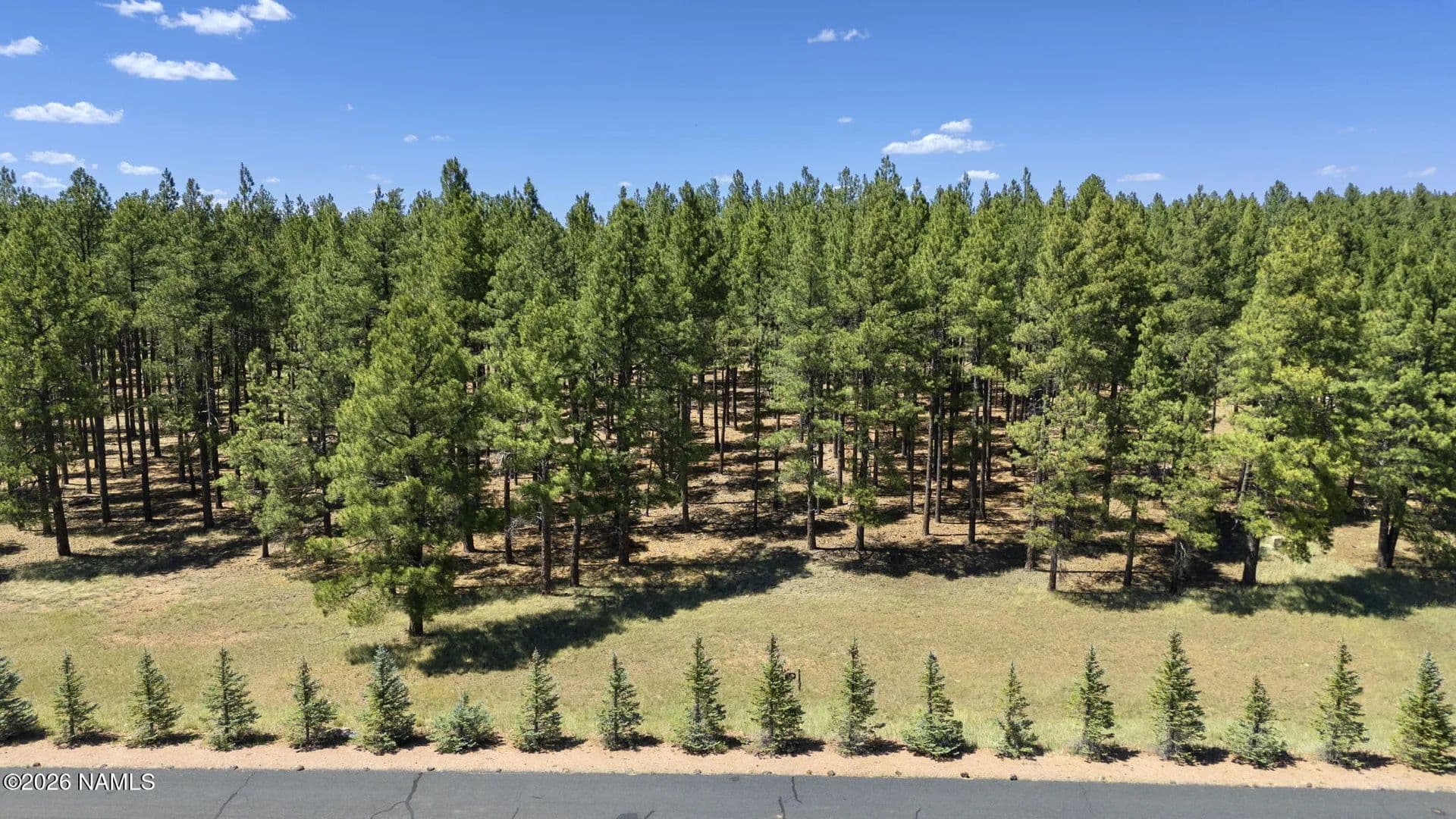 1.6 Acres of Land for Sale in Munds Park, AZ - Munds Park, Arizona, 86017