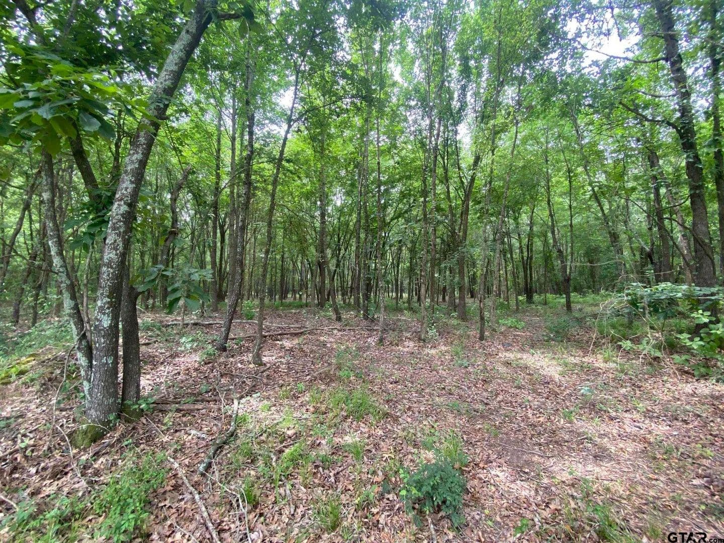 8.52 Acres of Land for Sale in Mt Pleasant, Texas - Mt Pleasant, Texas, 75455