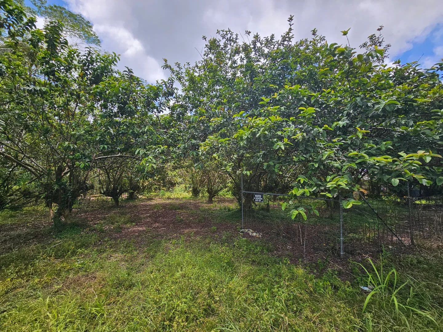 Property from 12 34TH AVE - KW - land for sale