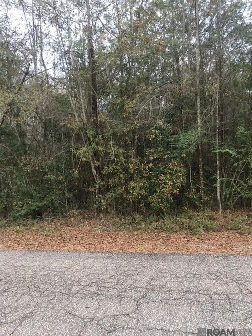 0.85 Acres of Land for Sale in Bogalusa, Louisiana - Bogalusa, Louisiana, 70427