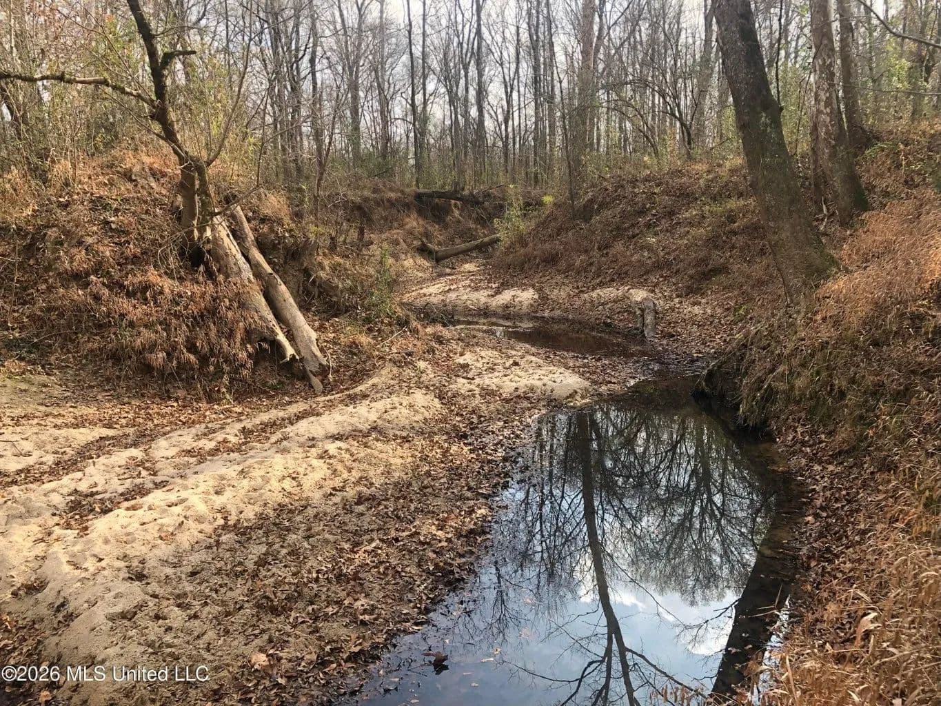 88.5 acres Hunting & Timber Land for Sale in Utica, Ms - Utica, Mississippi, 39175