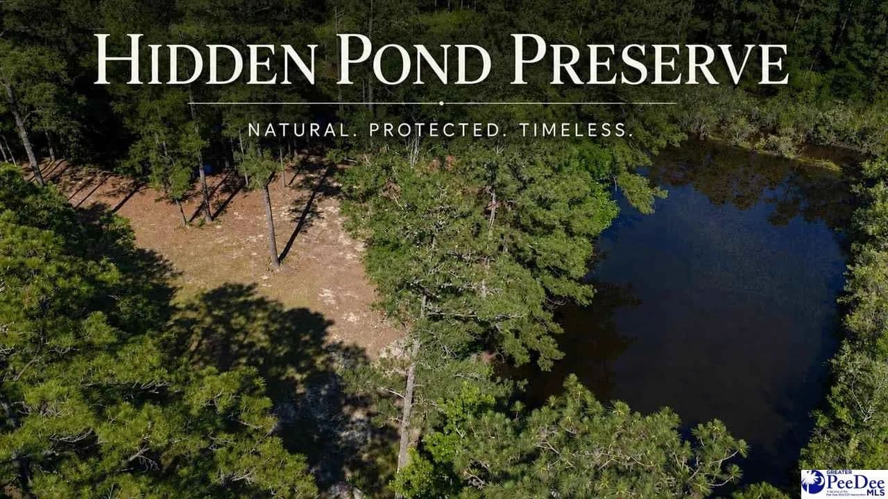 Property from TBD N. Bethel Rd (Woods) - KW - Scranton, South Carolina, 29591