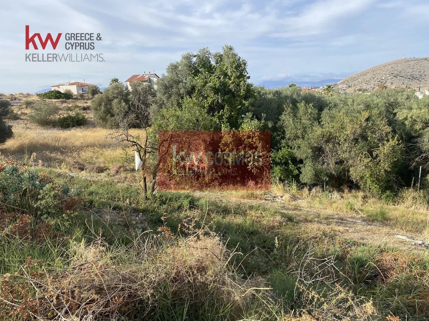 Land for Sale in Chalkida, Evia - land for sale