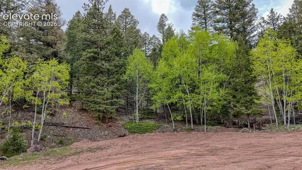 Property from 918 Pinon Lane - KW - Florissant, Colorado, 80816