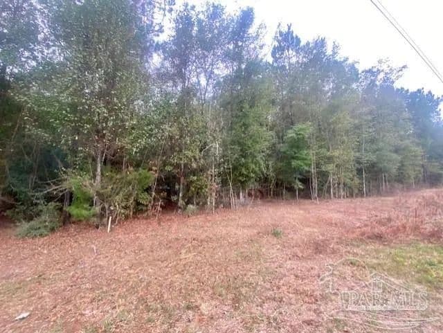 Vacant Land in Jay - Jay, Florida, 32565