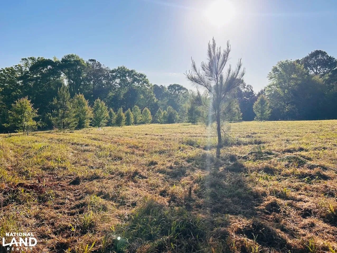 Whispering Fields at Concord - Concord, Georgia, 30206