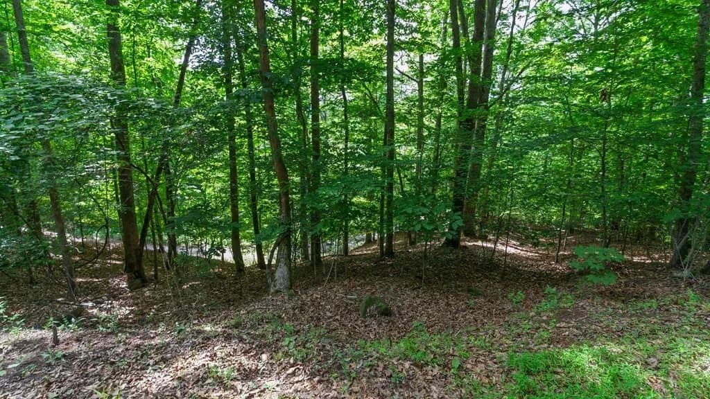 Property from 00 Castleman Road - KW - Franklin, North Carolina, 28734