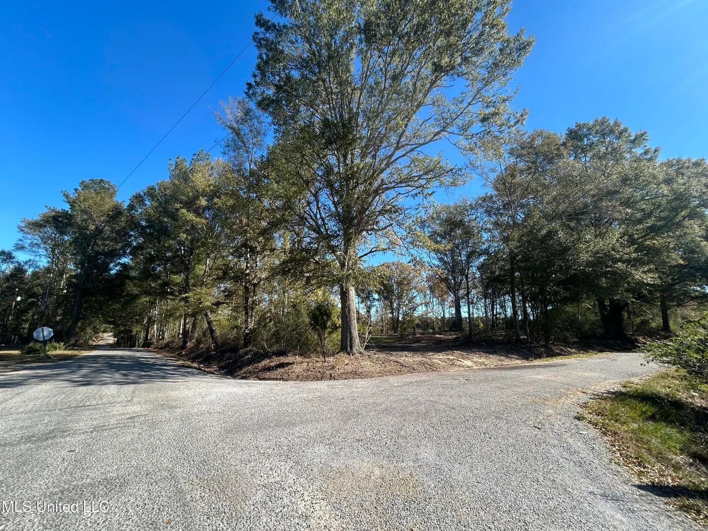7.49 acres near Mendenhall, Mississippi - land for sale