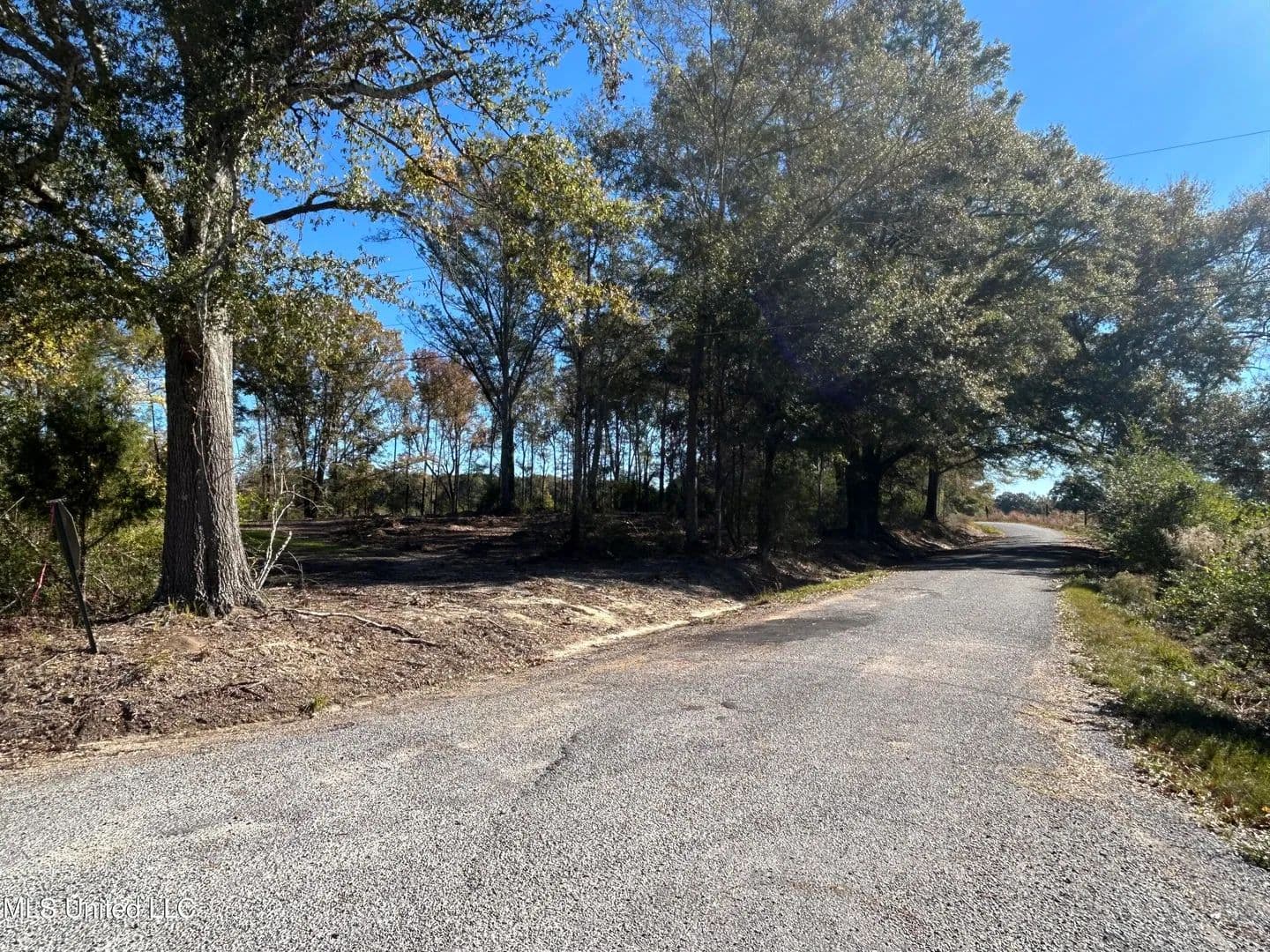7.49 acres near Mendenhall, Mississippi in Mendenhall, Mississippi - photo 2