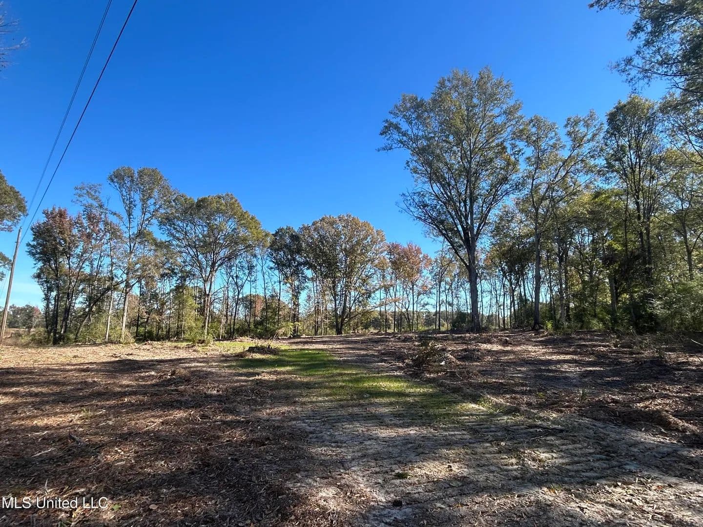 7.49 acres near Mendenhall, Mississippi in Mendenhall, Mississippi - photo 4