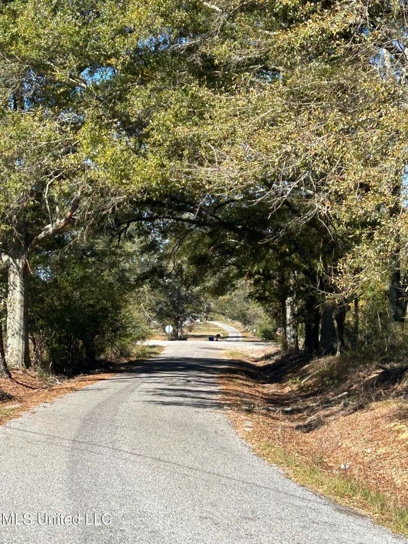 7.49 acres near Mendenhall, Mississippi in Mendenhall, Mississippi - photo 5
