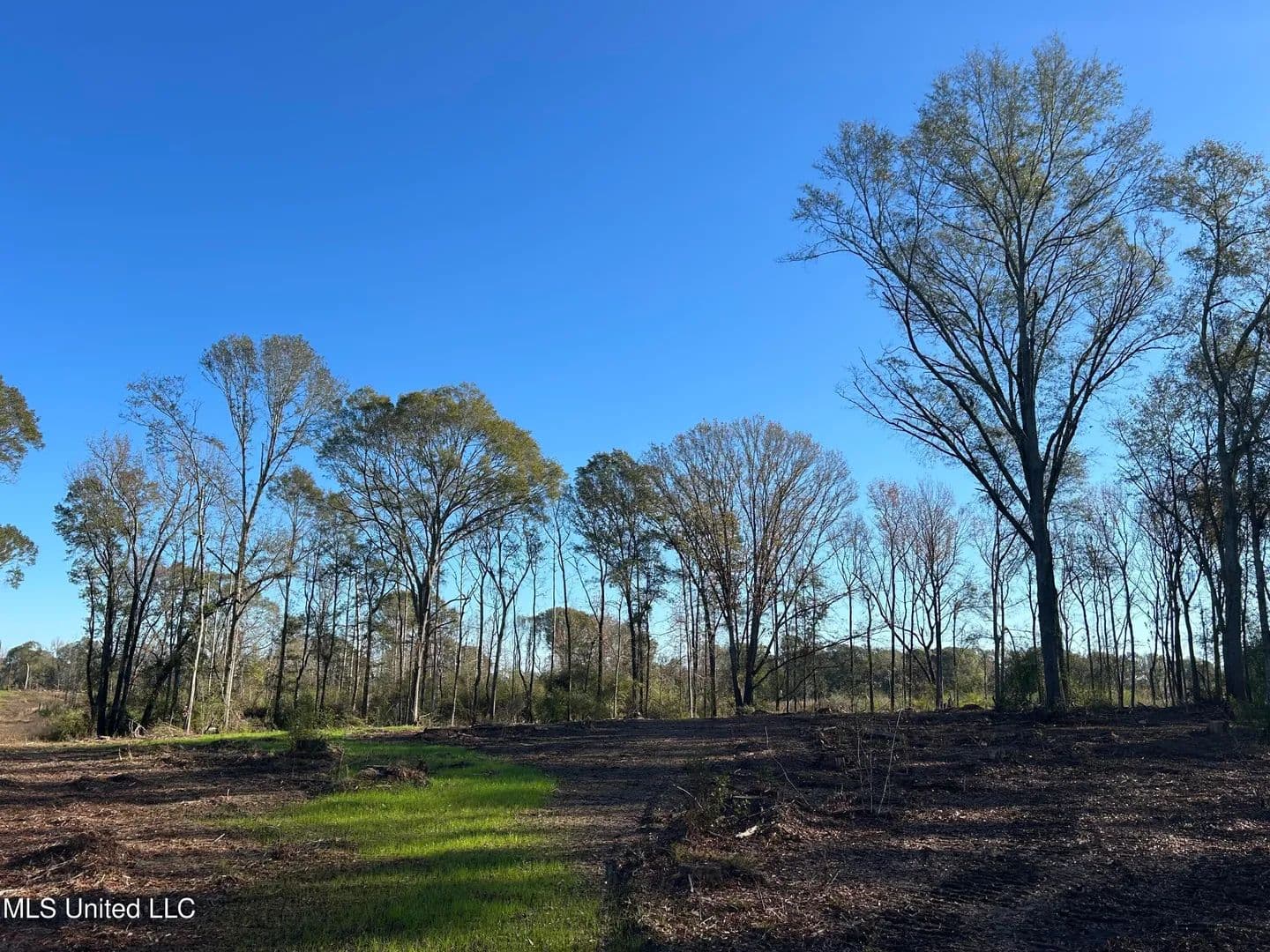 7.49 acres near Mendenhall, Mississippi in Mendenhall, Mississippi - photo 6