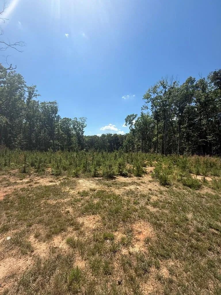 2.39 Acres of Land for Sale in Clarksville, Virginia - Clarksville, Virginia, 23927
