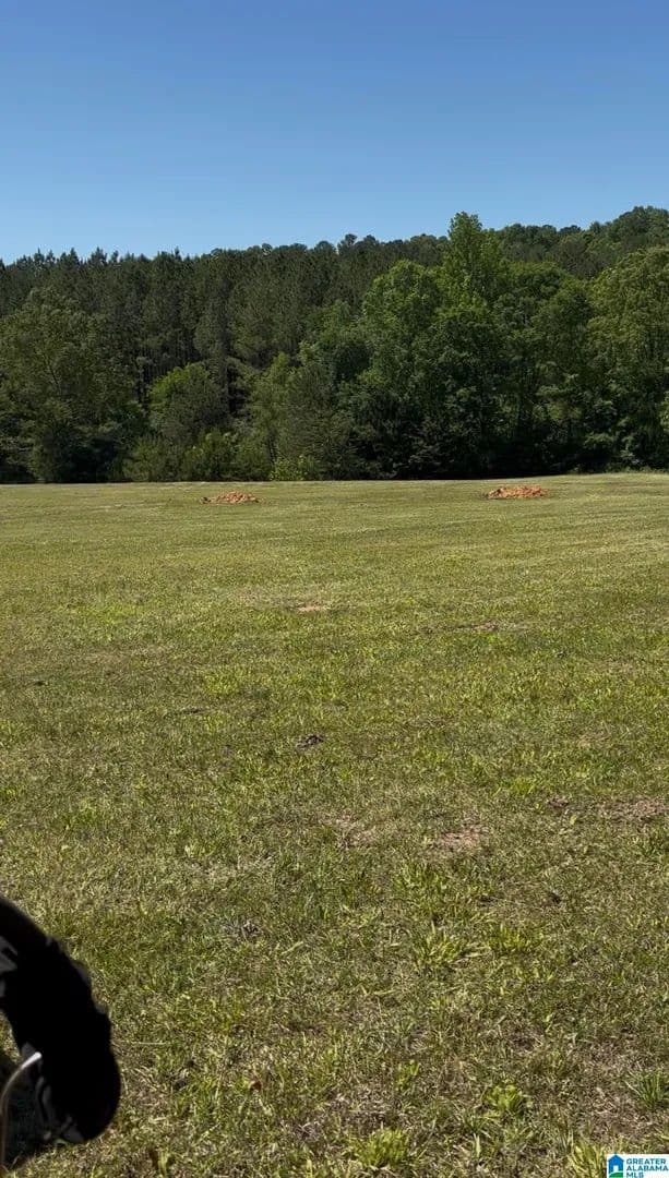 6.3 Acres of Land for Sale in Dora, Alabama - Dora, Alabama, 35062