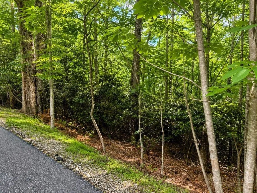 Property from TBD WALNUT Road - KW - Boone, North Carolina, 28607