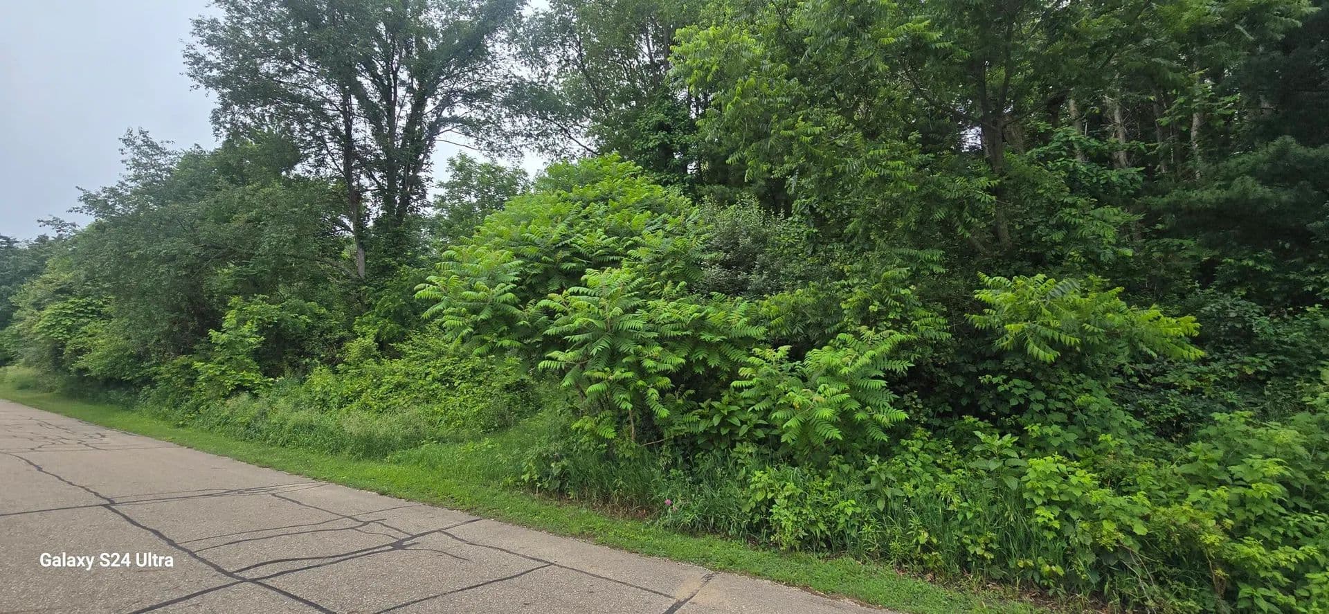 Property from 4923 Lakefront Drive - KW - Delton, Michigan, 49046