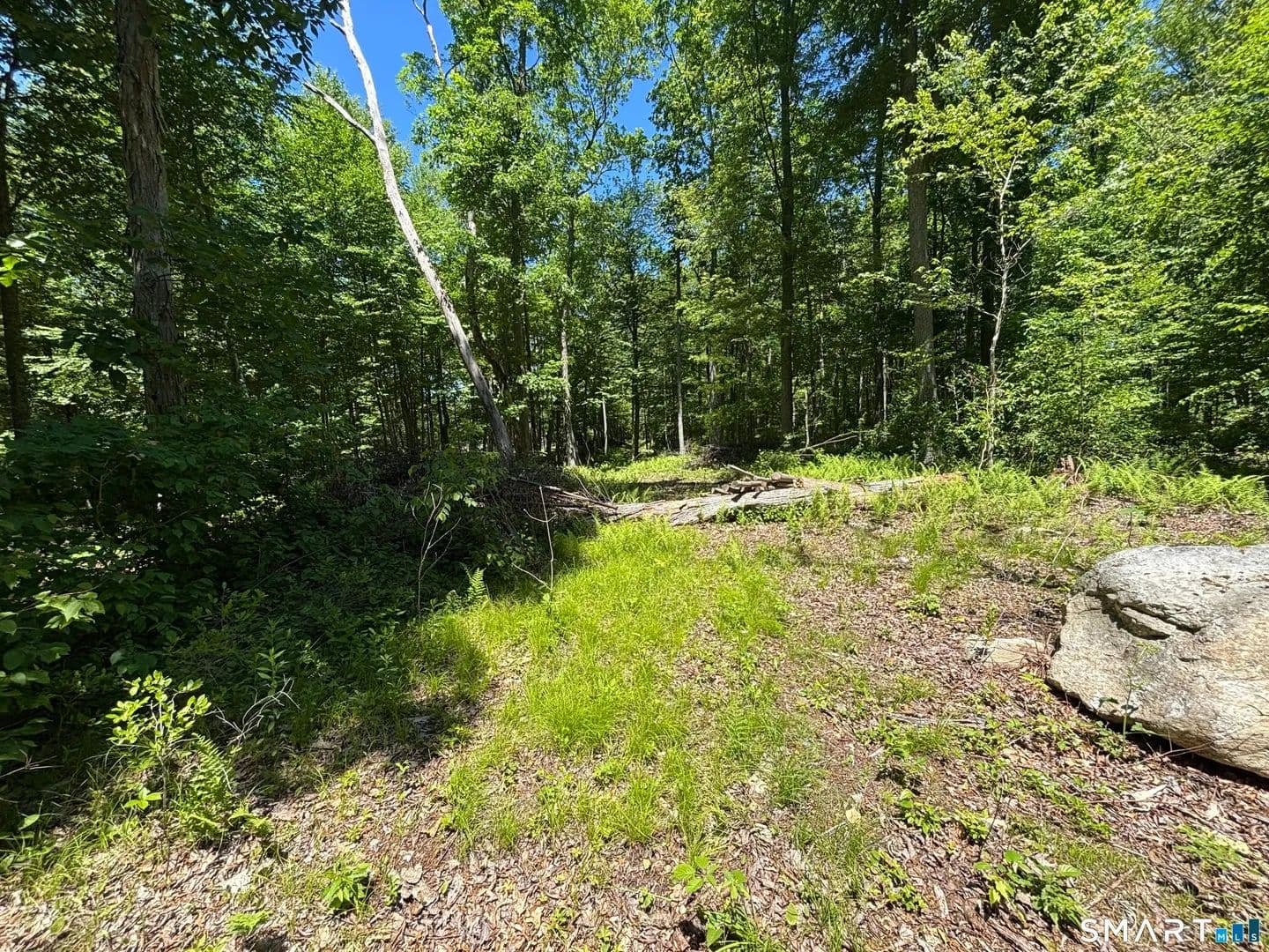 Property from 295 Providence Turnpike - KW - Hampton, Connecticut, 6247