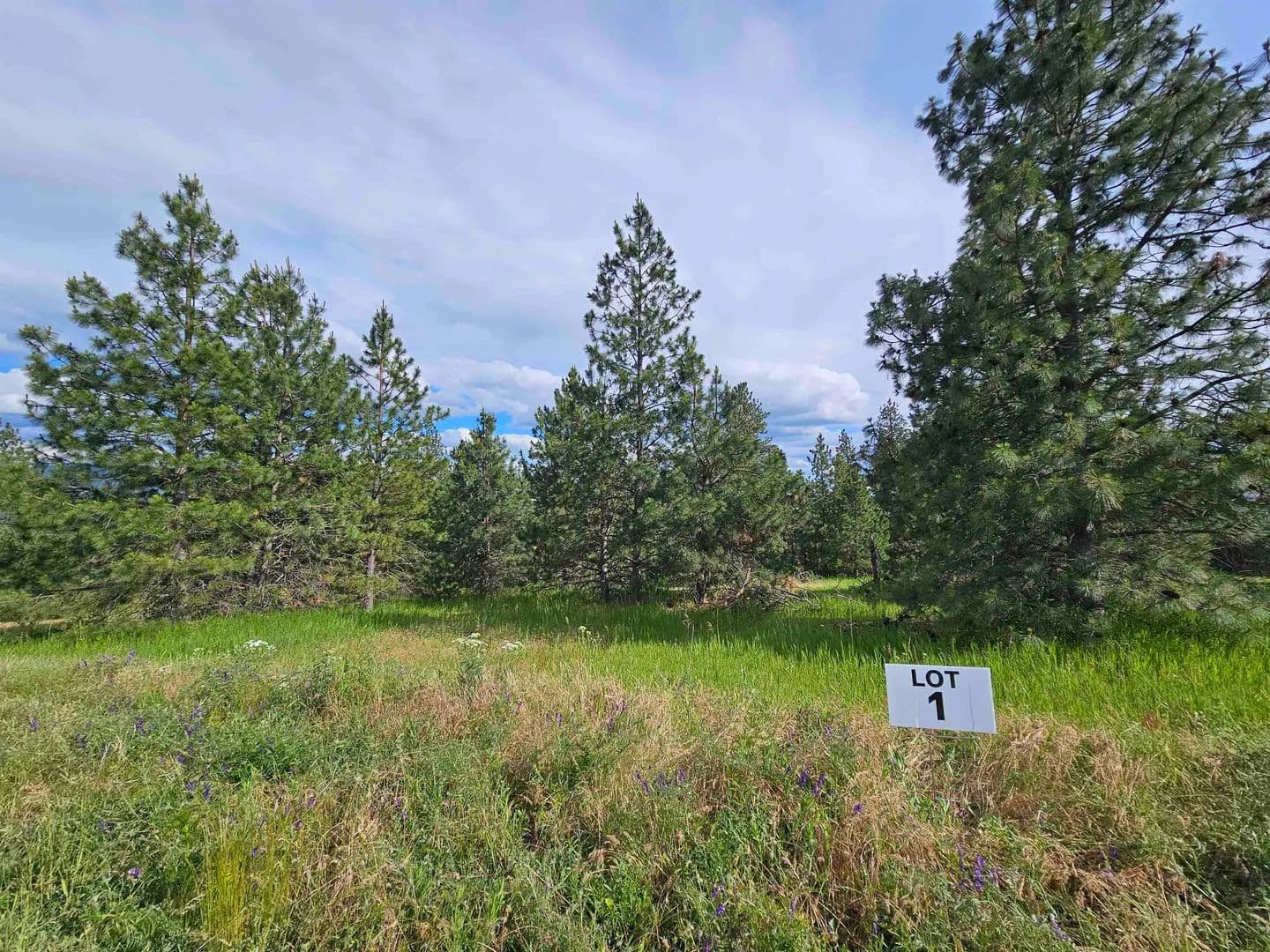Property from NNA S Sands Rd - KW - Valleyford, Washington, 99036