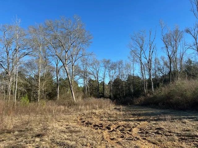 50.82 Acres | McComb Ms