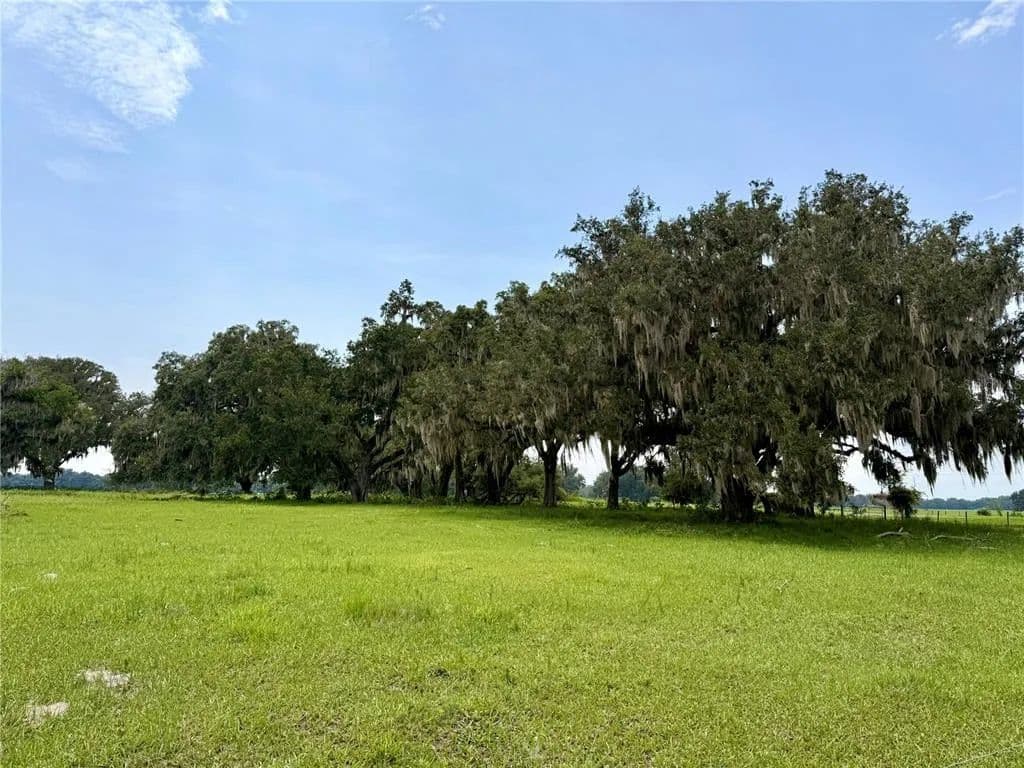 Vacant Land in Webster - Webster, Florida, 33597
