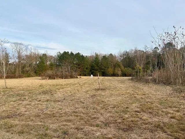 2.11 acres/ Clearview Dr. E. Magnolia, Ms
