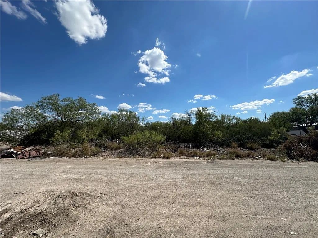 0.51 Acres of Land for Sale in Freer, TX - Freer, Texas, 78357