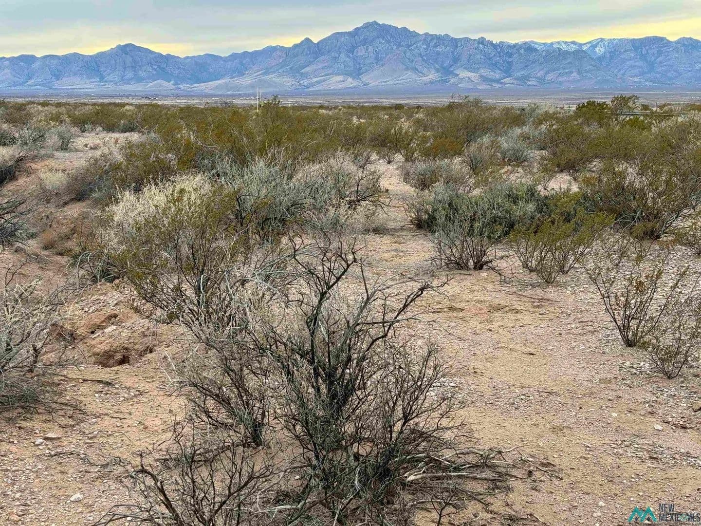 5 Acres of Land for Sale in Rodeo, NM - Rodeo, New Mexico, 88056