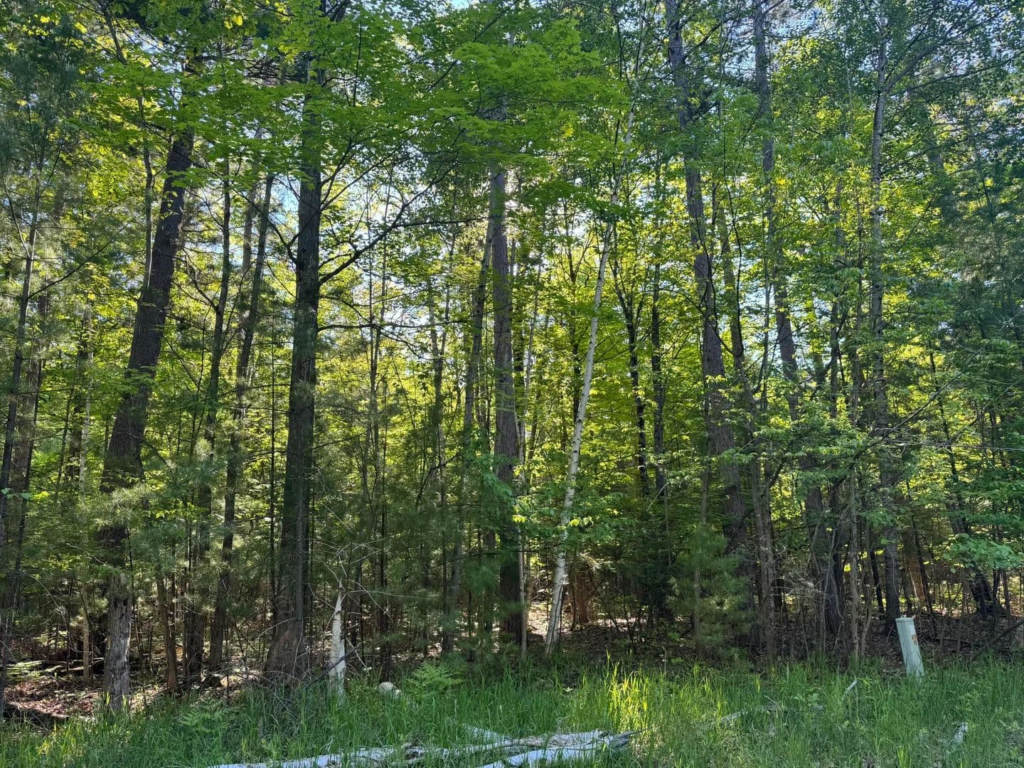 Property from 6310 Link Boulevard - KW - Indian River, Michigan, 49749