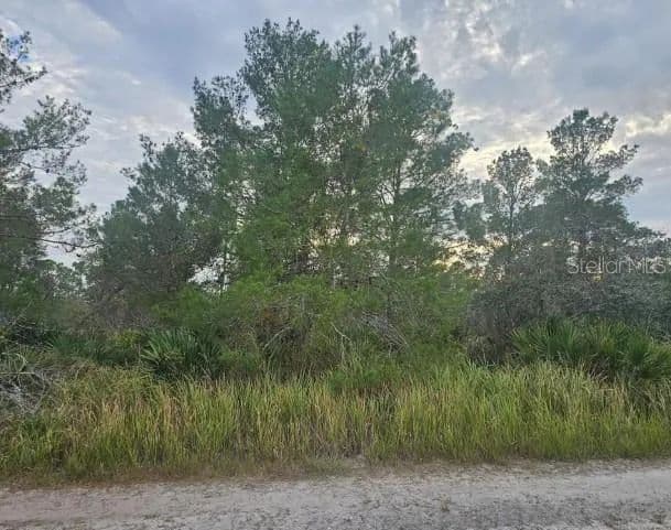 Property from 2217 ALGONQUIN DRIVE - KW - Sebring, Florida, 33875