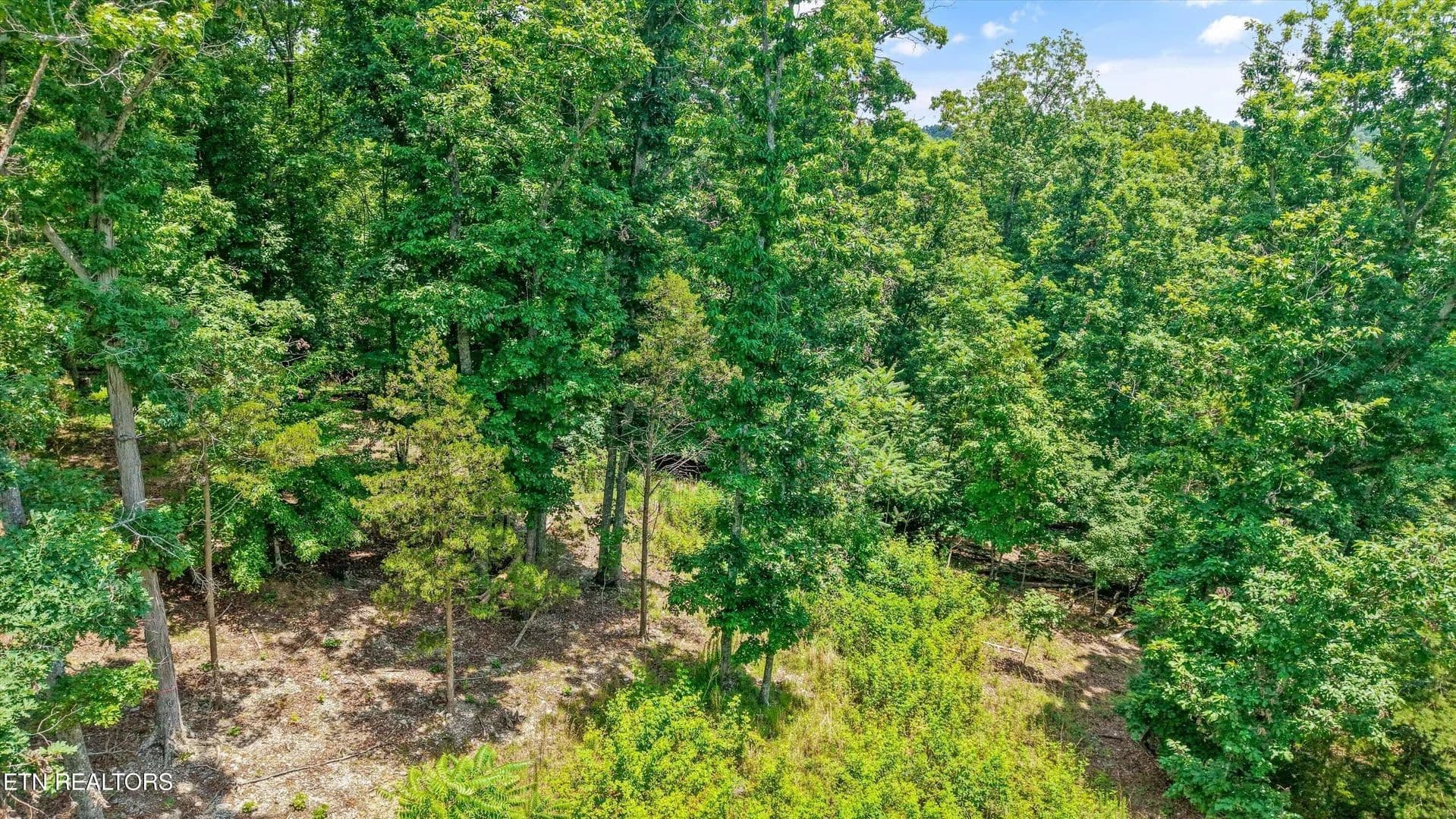 Property from 1499 Dogwood Valley Rd - KW - Kingston, Tennessee, 37763
