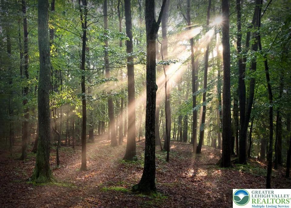 0.47 Acres of Land for Sale in Monroe County, Pennsylvania - Pennsylvania, 18355