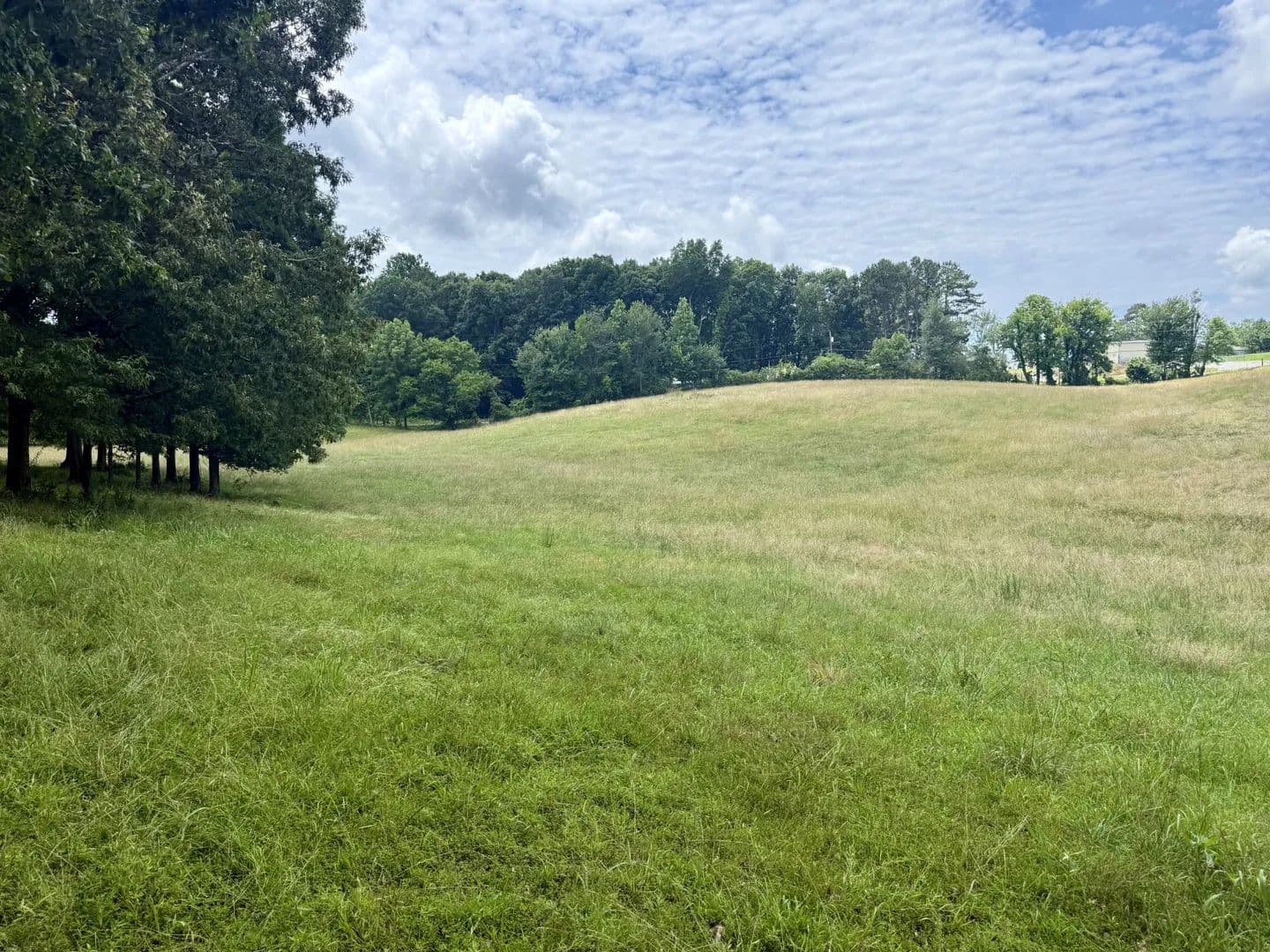 Property from 0 Crowder Rd - KW - Lawrenceburg, Tennessee, 38464